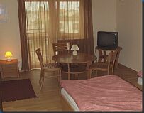 Hotel Witom