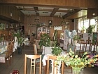 Hotel Dedal