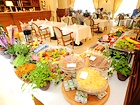Hotel Wloski
