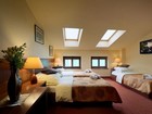 Hotel David #6