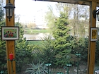 Hotel Dedek Park