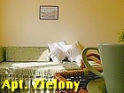 Apartamenty Sekret Kazimierza - Apartament Zielony