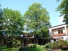 Wiselka