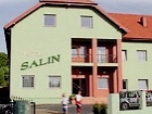 Salin