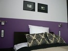 Hotel Pod Lwem
