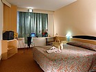 Ibis Krakow Centrum